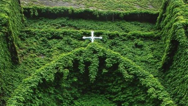 Mười Năm “Laudato Si’”:  Mười Câu Nổi Bật Của Thông Điệp