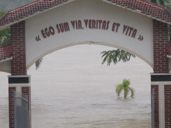 Cứ Tưởng Rằng...