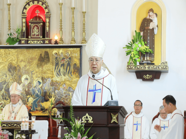 Lễ Đức Mẹ Dâng Mình 2025: Video Bài Giảng Của Đức Cha Aloisio Nguyễn Hùng Vị