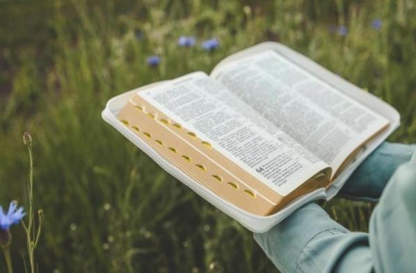 Hiến Chế Dei Verbum Cung Cấp 5 Lời Khuyên Về Cách Giải Thích Thánh Kinh